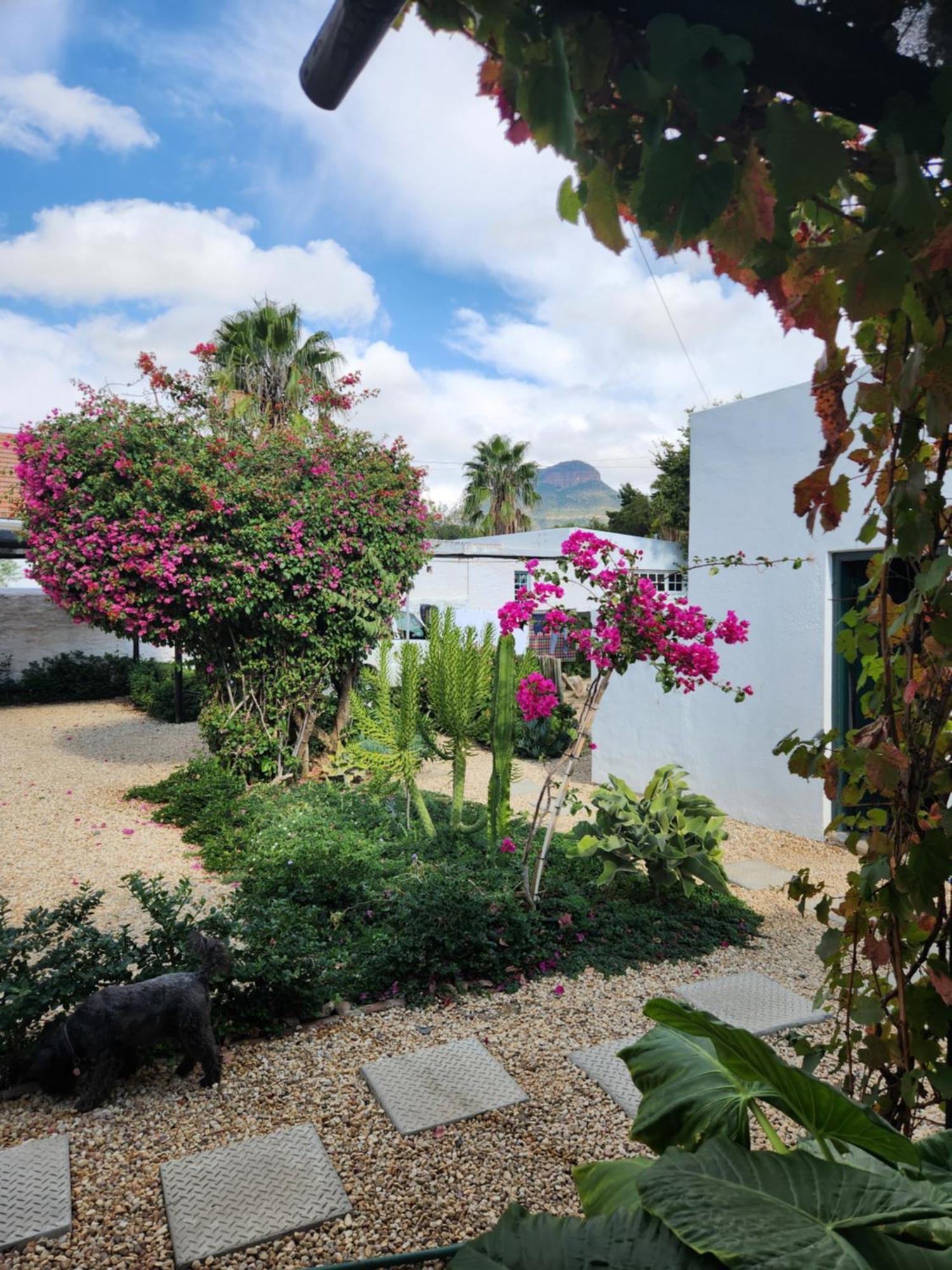 Die Dorpshuis Graaff-Reinet المظهر الخارجي الصورة